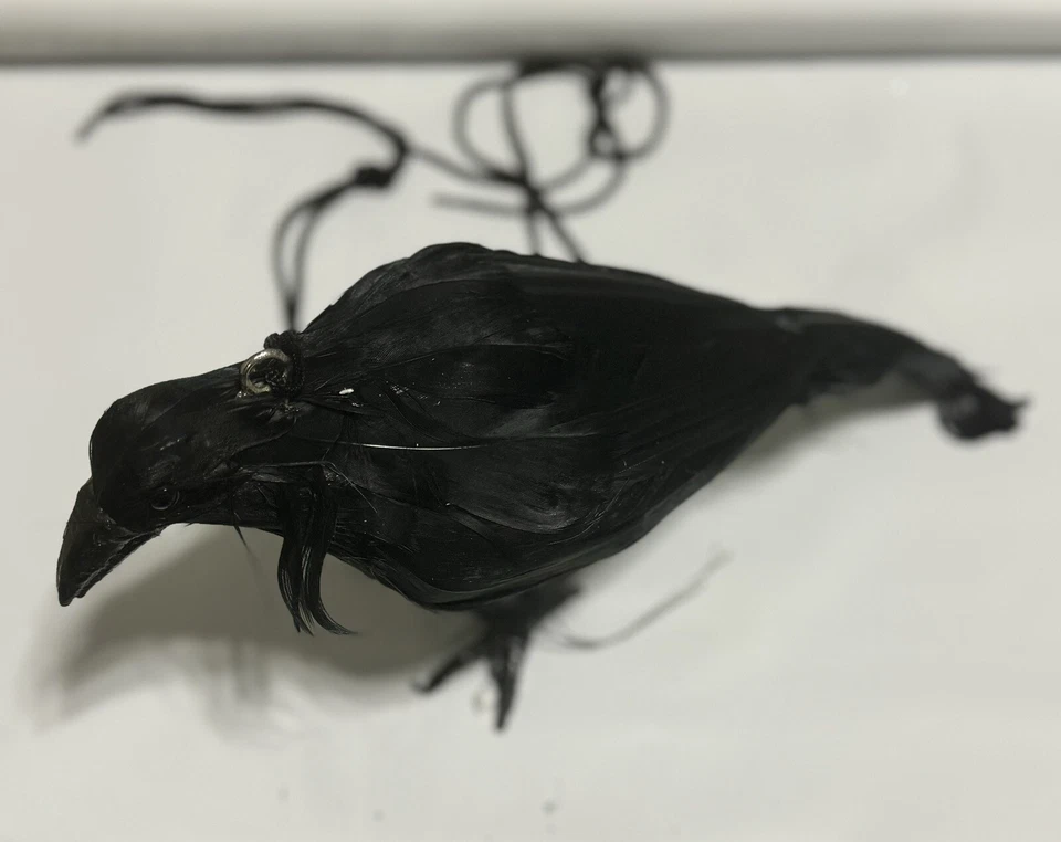 Maléfica Mujer Capa Larga Pluma Capa Gótica Capa Punk Halloween Disfraz Foto 4 de 4