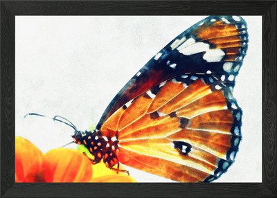Monarch Schmetterling auf orange Blume gerahmtes Wandbild Poster Leinwanddruck Bild