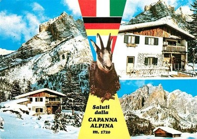 San Cassiano Badia Rifugio Capanna Alpina Berghaus Dolomiten Gemse