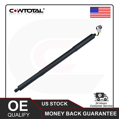 Tailgate Power Hatch Lift Support Strut Shock For Ford Edge Lincoln MKX 11-2015