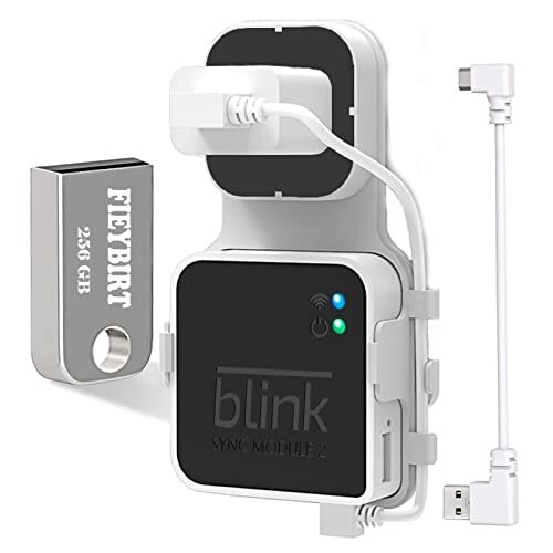 USB Flash Drive and Outlet Mount for Blink Sync Module 2: 256GB-image