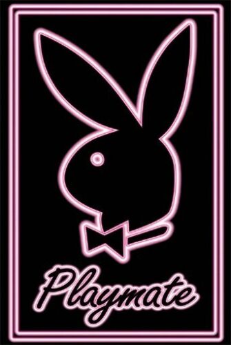 PLAYBOY POSTER Neon Playmate Bunny Logo HOT NEW 1218 - Afbeelding 1 van 1