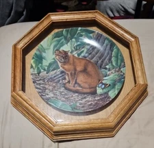 decorative plate And Wood wall hanger