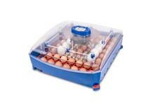 INCUBATRICE PROFESSIONALE BREVETTATA LUMIA 56 BOROTTO – 56/224 uova 🔝