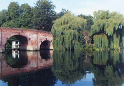 RUHIGE FLUSS THAMSE BRÜCKE BÄUME ORIGINALFOTO 9,8 X 7 ZOLL VON MEL LONGHURST