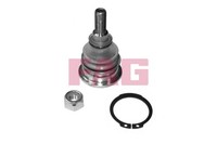 Schaeffler FAG Traggelenk FüHrungsgelenk 825 0257 10 FüR GH KIA Hyundai TG NF 5