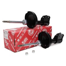 2x Stoßdämpfer satz vorne für RENAULT CLIO II (BB_, CB_, SB0/1/2_), THALIA I