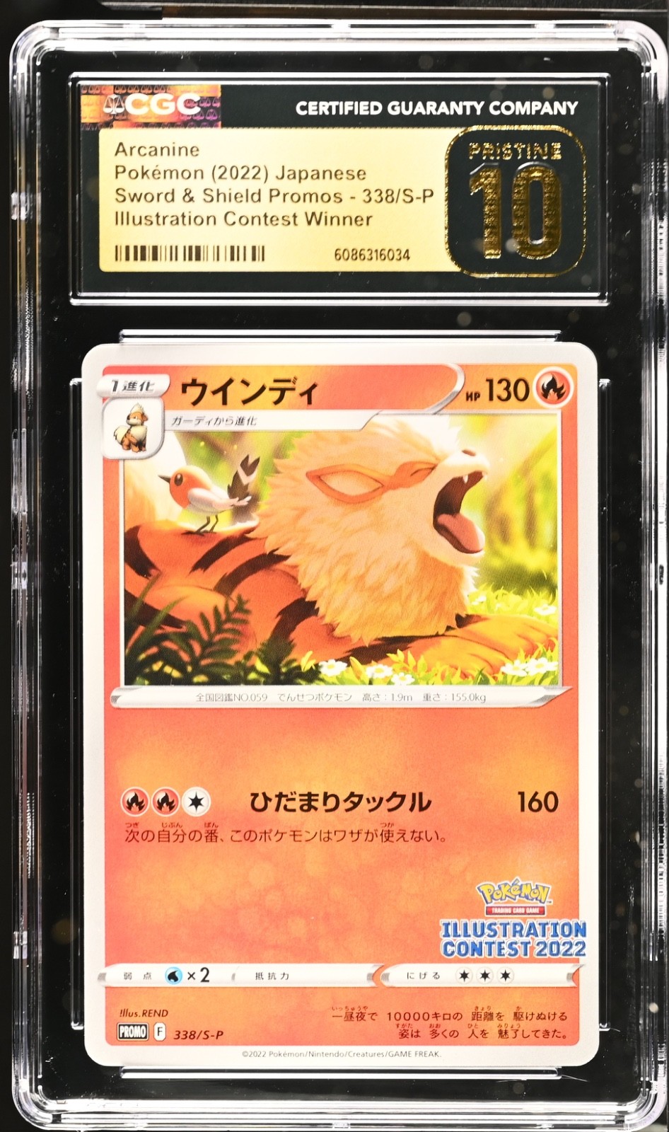 Arcanine 338/S-P Illustration Promo Japanese Pokemon Card CGC 10 Pristine