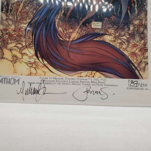 Fathom DUAL SIGNED Michael Turner & Peter Steigerwald Ltd Art Print #/250 RARE! - Picture 6 of 6