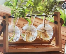 Propagation Station Hydroponic Plant 3 Vases With Wood Base