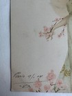 Foto 15 di 15