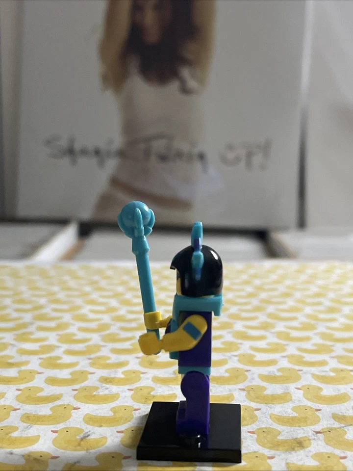 EVIL-LYN MASTERS OF THE UNIVERSE LEGO MINIFIG he-man meg foster alison brie - Image 4 of 4