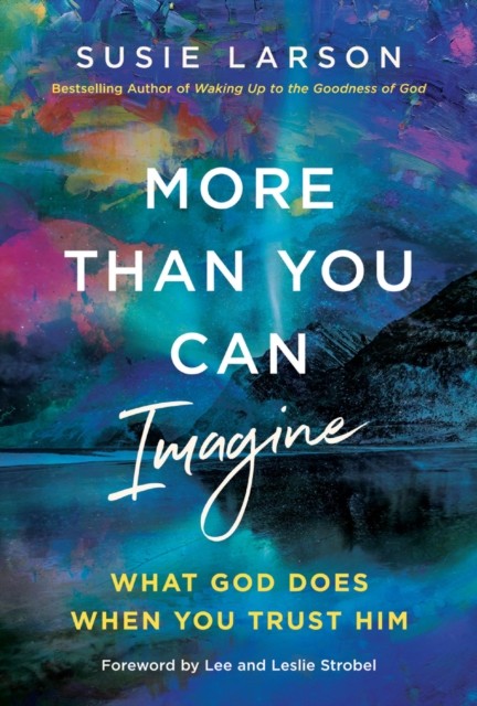 More Than You Can Imagine by Susie Larson (Hardback Book)