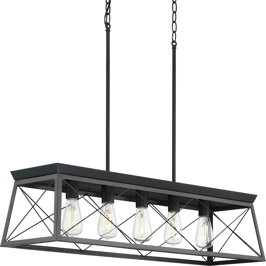 Progress Lighting Briarwood 5 Lt Linear Chandelier Textured Black P400048 031