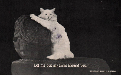 White Kitten & Basket LET ME PUT MY ARMS AROUND YOU Vintage 1911 Postcard