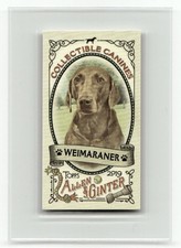 2019 Topps Allen & Ginter #CC-21 Weimaraner Collectible Canines Minis