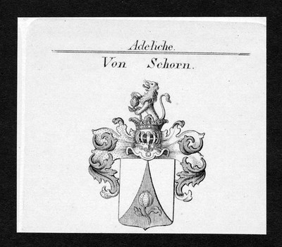 ca. 1820 Schorn Wappen Adel coat of arms Kupferstich antique print heraldry