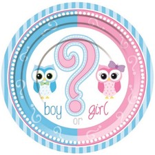 Gender Reveal Pink Blue Cute Baby Shower Party Supplies 7" Paper Dessert Plates