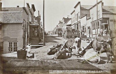 Street View Lead Lawrence County SD 1880 Reprint