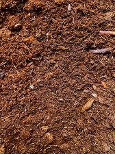 Sphagnum Peat Moss - 1 Gal