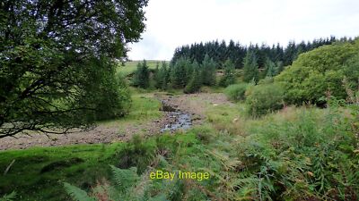 Foto 12x8 Kershope Burn at Day Holm Greens\/NY4886 Ansichten aus dem Wald um 2021