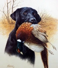 James Killen In the Field Black Lab-Pheasant S/N Print