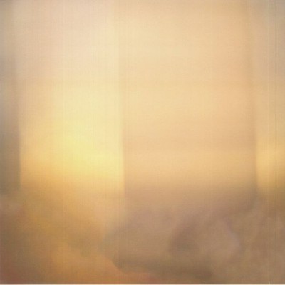 LAHEYE, Dries - Deining - Vinyl (limited LP)