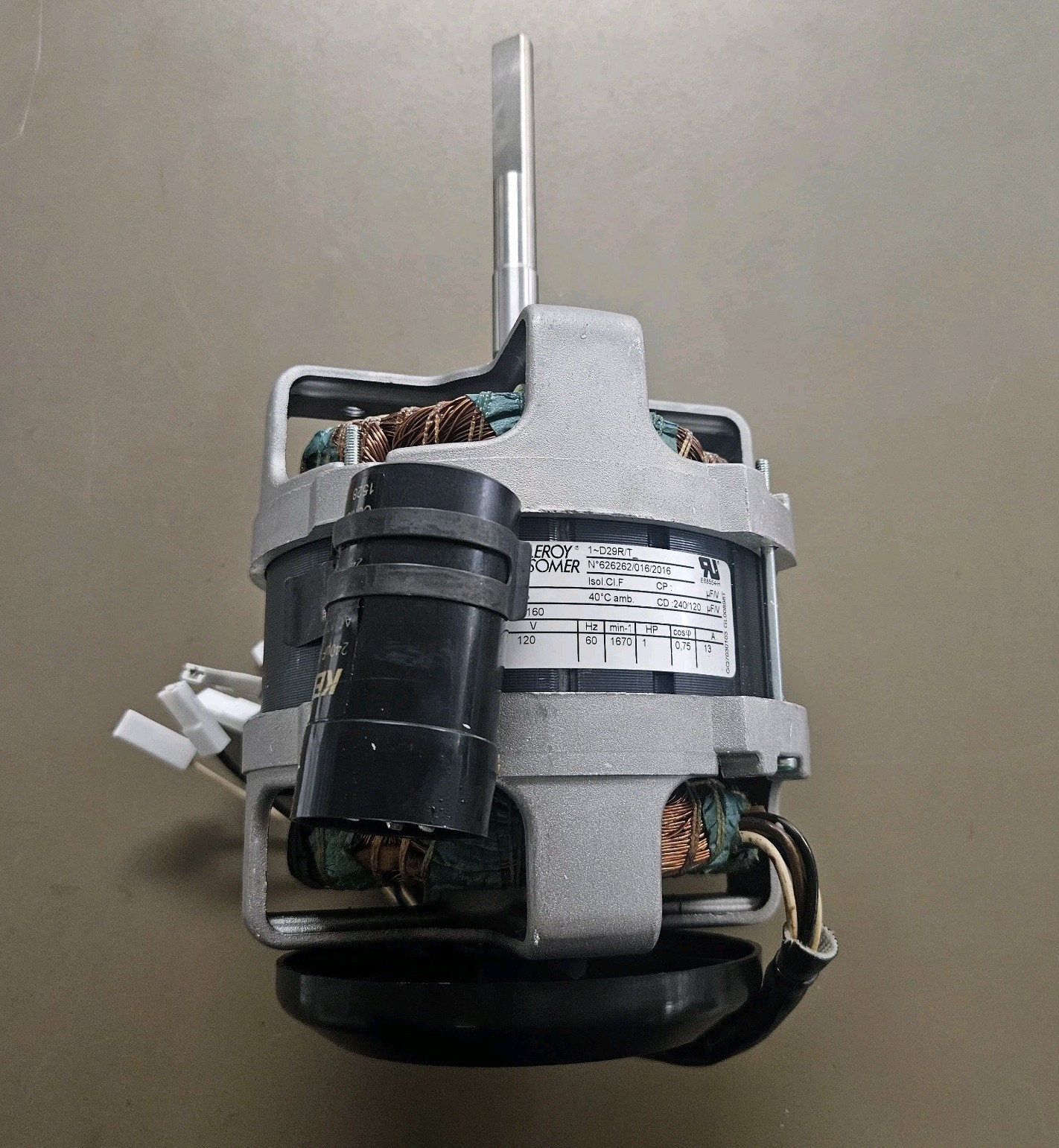 Robot Coupe 303160 Motor, R2 DICE