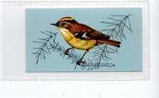 (Jd4229) TETLEY,BRITISH BIRDS,GOLDCREST,1970,#30