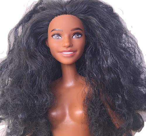 AA Barbie Doll Future Leader/Presidential Candidate HXN98 Collect or OOAK