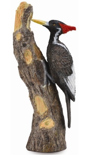 Collecta 88802 Ivory Woodpecker 10 Cm Wildlife