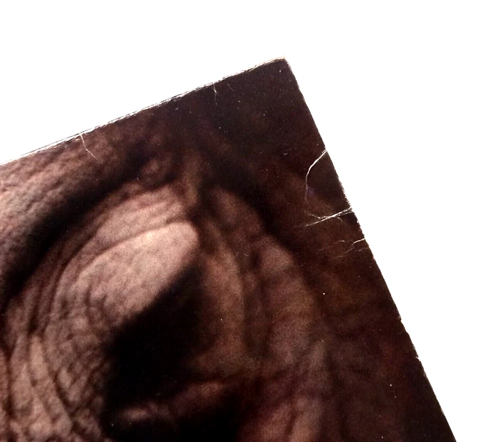 Orange 9mm - S/T 12"EP 1994 US OG Revelation Gorilla Biscuits Youth Of Today LP - Image 4 of 4