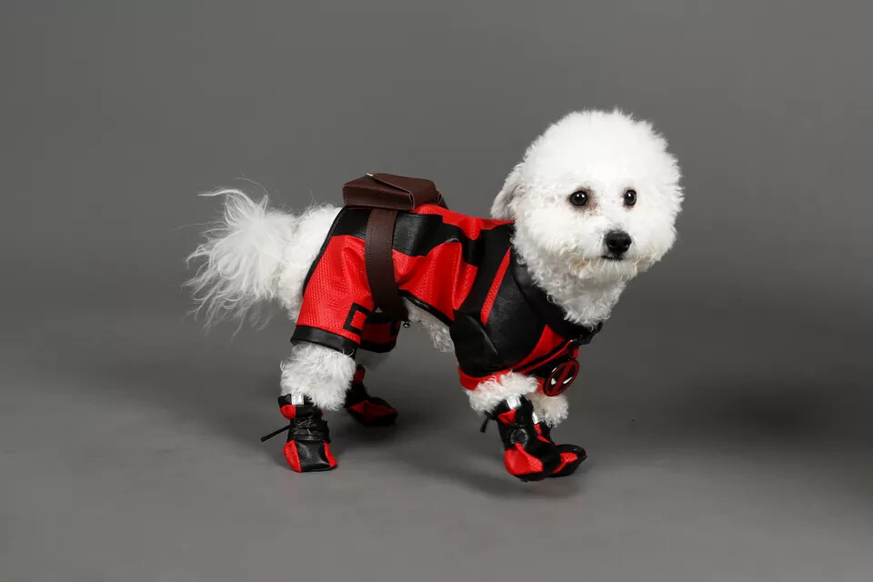 Dogpool Cosplay Deadpool 3 Wade Wilson Conjunto Elástico Disfraz Venta