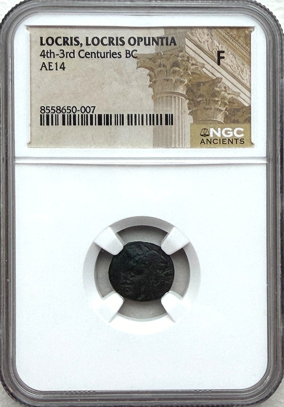 LOCRIS OPUNTIA 4th-3rd CENT BC - AE14 UNIT - RARE TYPE - NGC F - FREE SHIPPING!