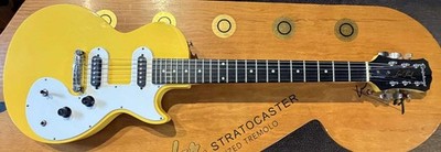 Epiphone LS Les Paul Electric Guitar Great Condition ProSetup Soft Case.