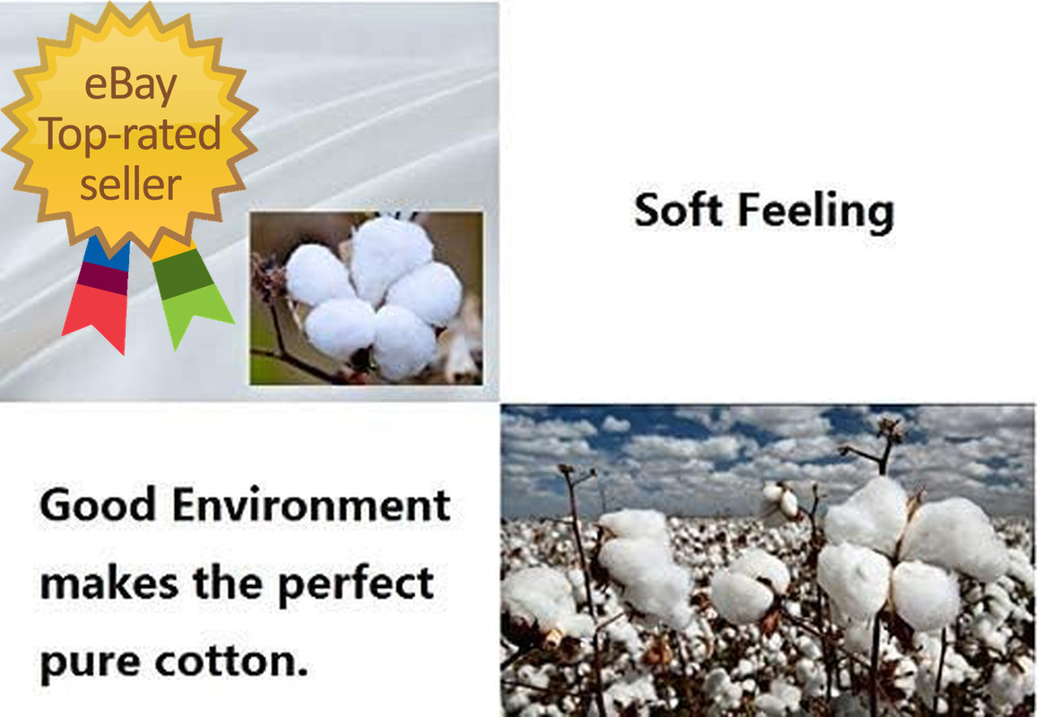 Natural Goose Down&Feather Pair Hotel Pillows Insert for Side and Back Sleepers