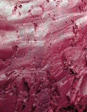 Anish Kapoor: My Red Homeland, Schneider, Eckhard,Zaunschirm, Thomas,Safran, Yeh