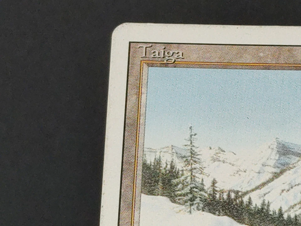 MTG Taiga Revised Edition Regular Rare Light Play - Image 3 of 4