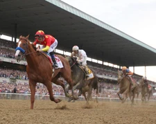 Justify 2018 Belmont Stakes Remote Photo 8" x 10 - 24" x 30" 