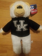 Team Spirit University Of Kentucky UK Wildcats White Teddy Bear Plush Licensed