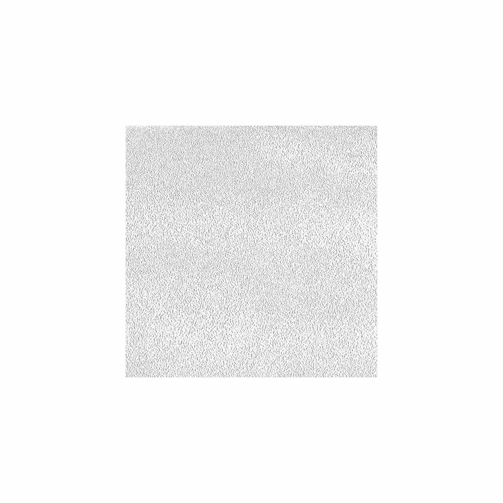 DupliColor VHTRGA100 Rocker Guard Clear, 14.5 oz, 1 Pack eBay