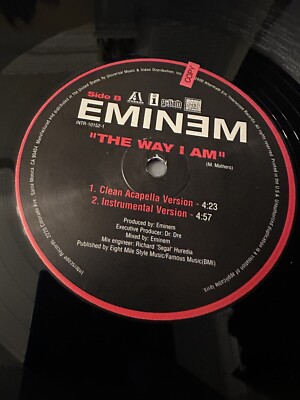 The Way I Am SINGLE - Eminem 12” Vinyl Record Used | eBay