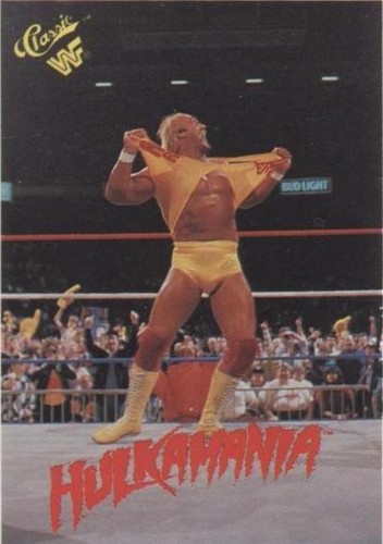 Japan-US Wrestling Summit Official Program WWF/AJPW/NJPW 4/13/1990