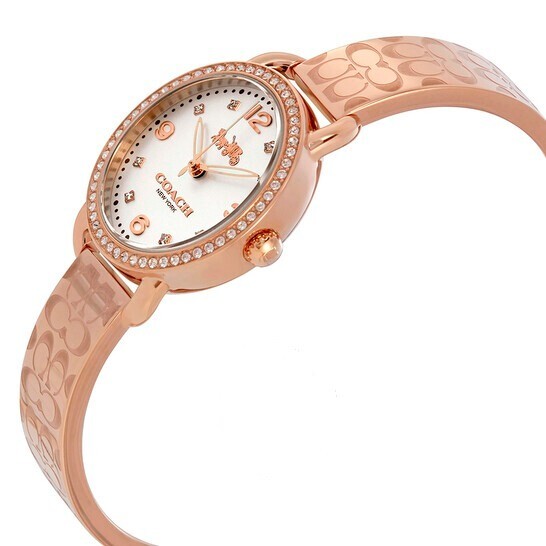 Coach Delancey Crystal Watch Coach Delancey Mother Of Pearl  display picture 3