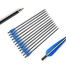 12Pcs 17'' OD 8.8mm Spine 300 Carbon Arrow Plastic Feather Replaceable Arrowhead