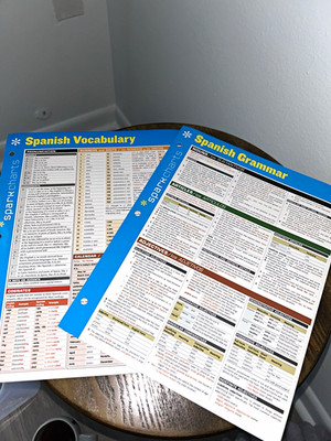 Barcharts SparkCharts Spanish Vocabulary & Grammar Laminated Guide 2pg A1