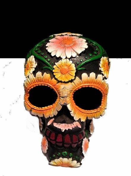 Skull FLOWER Head ~ Statue or Figurine ~ FREE SHIPPING!