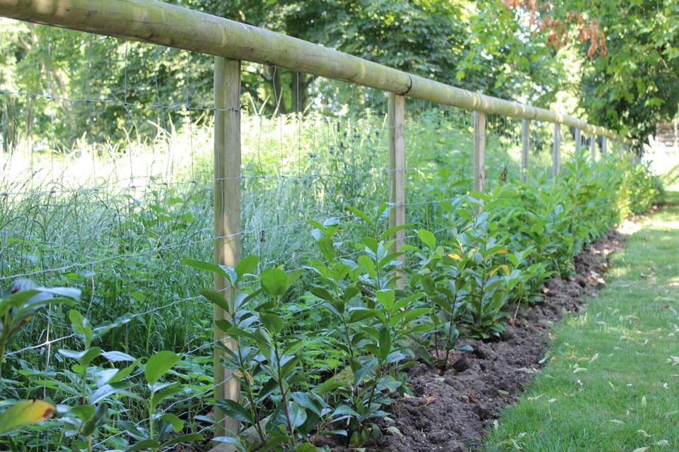 Round Fence Posts | Treated Timber | Multiple Sizes & Pack Quantities ...