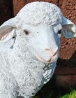 Afbeelding 4 van 4