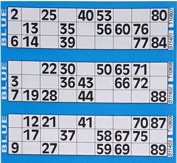 Bingo Tickets 300 6 To View, All Colors Jumbo 1-90 booklet cards